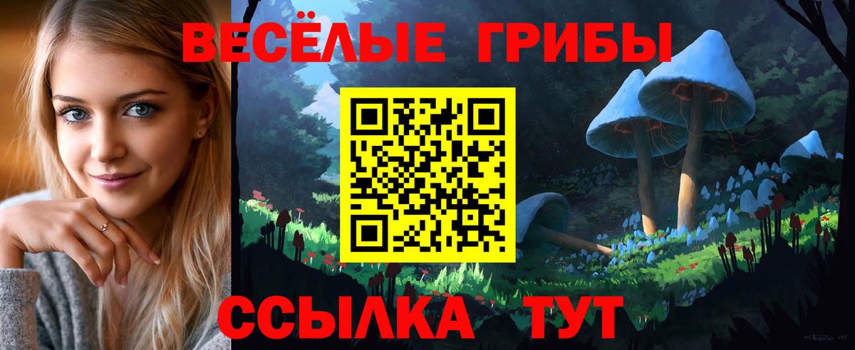 Псилоцибиновые грибы ЛСД Лосино-Петровский